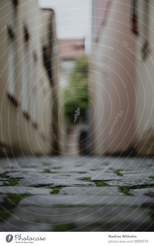 Forschperspektive in eine Nebengasse Straße Gasse Froschperspektive bewölkt Gedeckte Farben Haus Außenaufnahme Menschenleer Farbfoto Altstadt Tag Fassade Licht