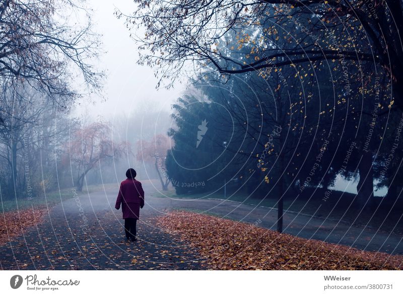 Novemberspaziergang im nebeligen Park Nebel Herbst Frau Dämmerung kalt früh Morgen München Olympiapark Laub Jahreszeit Melancholie undeutlich ungewiss alte Frau