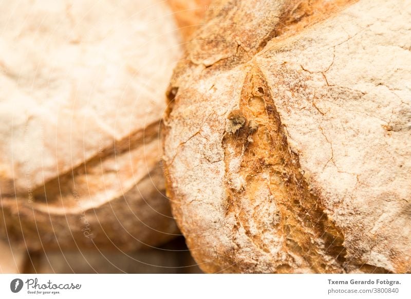 Detail eines handwerklich hergestellten glutenfreien Brotlaibs traditionell backen organisch Sonnenblumenkerne Mehl Weizen Müsli rustikal Korn Lebensmittel