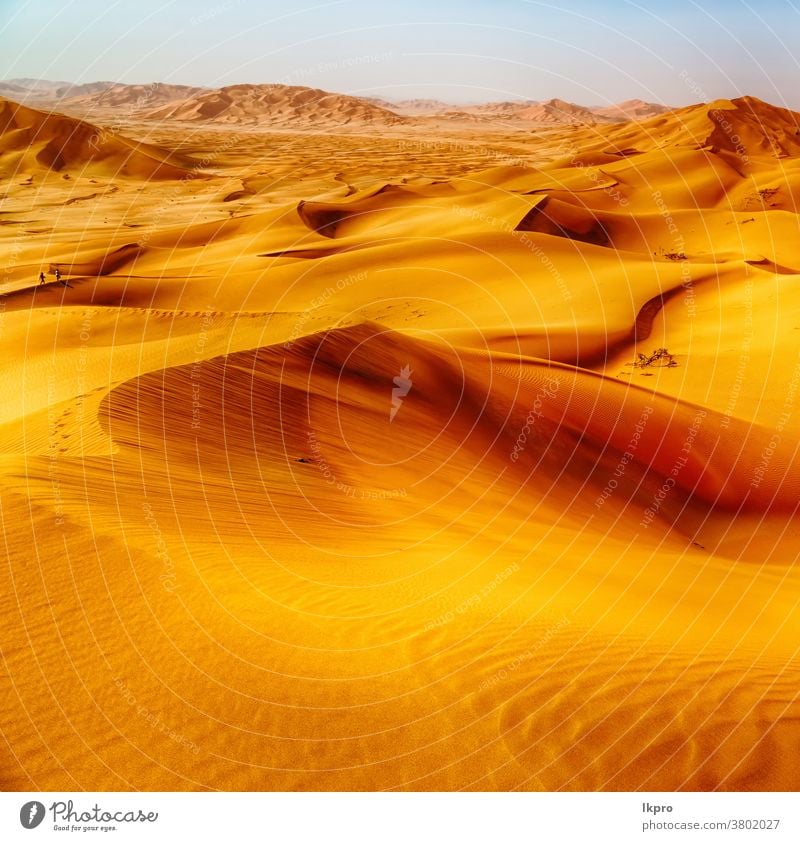 in der alten wüste omans rub al khali das leere viertel und die draussen liegende sanddüne gelb golden Felsen reiben sie al khali leeres Quartal Abenteuer