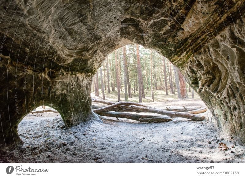 Blick aus den Sandsteinhöhlen des Heers in den umgebenden Kiefernwald Höhle Höhlen Ausblick Blickrichtung Wald Sandboden Natur Landschaft Außenaufnahme