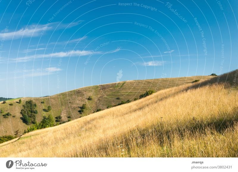 Im Kaiserstuhl Natur Gras Hügel Landschaft Himmel Schönes Wetter Idylle Erholung Sommer Tourismus Ausflug