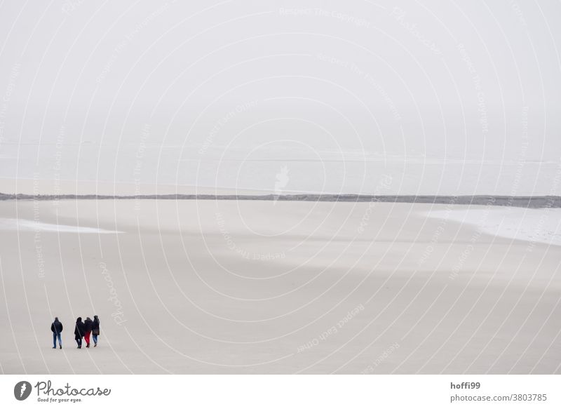 Menschen bei Ebbe am Strand Menschengruppe Wattwandern Wattenmeer Winter Herbst Menschenmenge Nordsee Bewegung trocknen außergewöhnlich hell gehen Nordseeküste