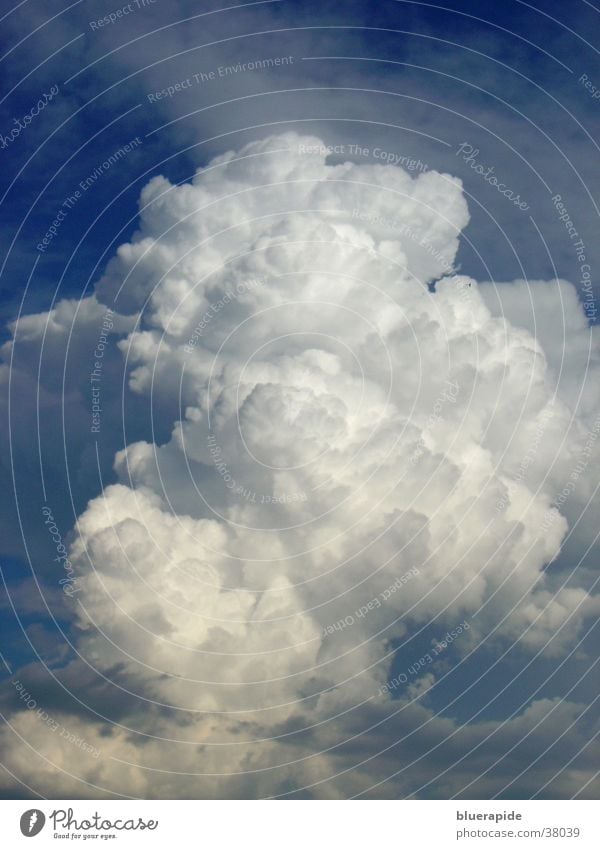 Cumuluswolke Wolken Kumulus weiß Watte luftig bedrohlich kalt groß weich blau Himmel hell füllend