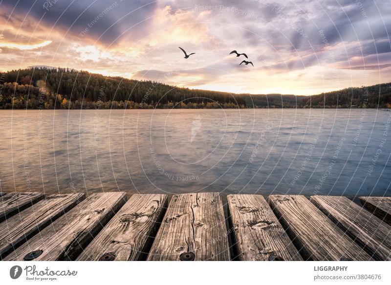 Der Stausee Soboth im Dreiländereck Kärnten-Slowenien-Steiermark See Landschaft Außenaufnahme Natur Farbfoto Seeufer Umwelt Schönes Wetter Himmel