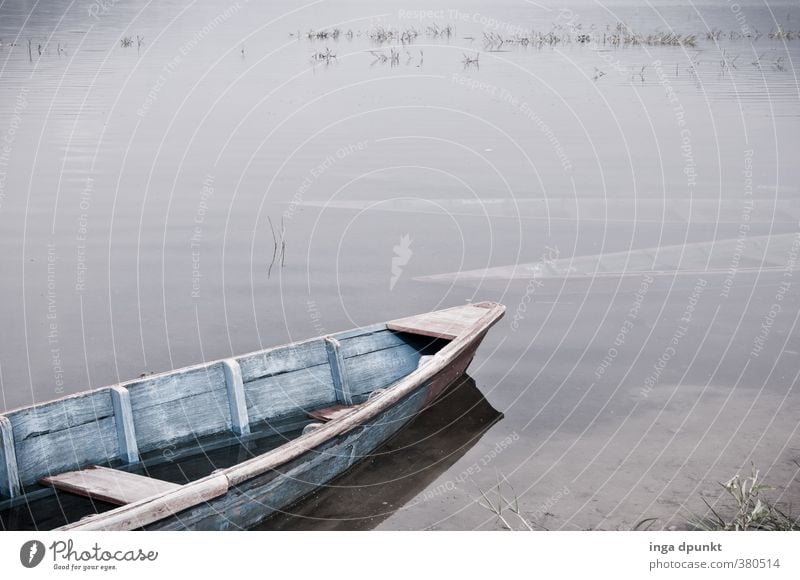 Stiller See Umwelt Natur Landschaft Urelemente Wasser Küste Seeufer dunkel trist grau ruhig Wasserfahrzeug Bootsfahrt Ausflug Ferien & Urlaub & Reisen Ruderboot