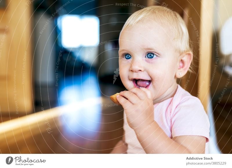 Süßes Baby Mädchen essen auf dem Boden Keks Stock bezaubernd heimwärts unschuldig Komfort sich[Akk] entspannen Säuglingsalter süß ruhen Kleinkind Kind blond