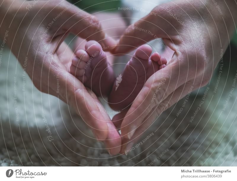 Babyfüßchen im Herz aus Händen Kind Kleinkind Mutter Vater Eltern Junge Mädchen Frau Mann Familie & Verwandtschaft Fuß Zehen Finger Hand Haut 0-12 Monate Liebe