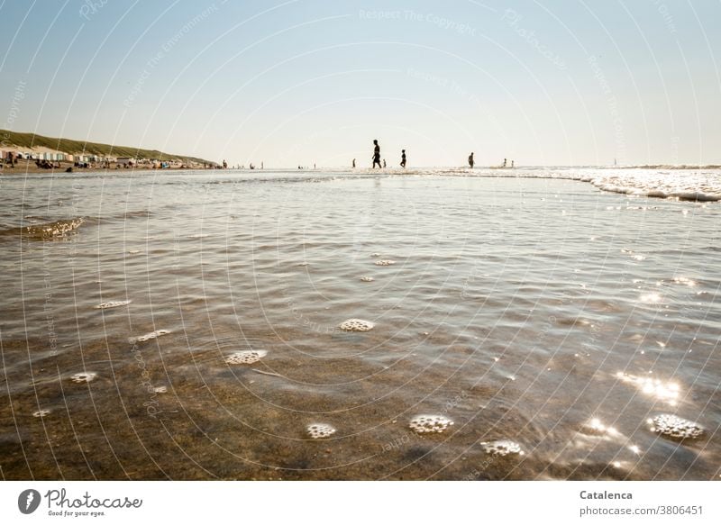 Sommer, blauer Himmel, Strand, Wärme; der Urlaub rückt näher. Landschaft Natur Küste Wasser Brandung nass Sand Personen Uralub Reisen baden schwimmen genießen