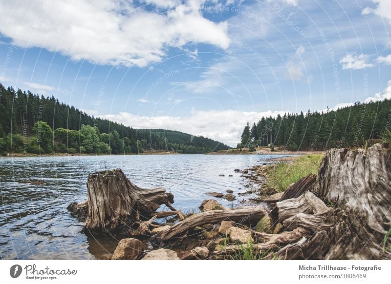 Talsperre Lütsche / Thüringen Thüringer Wald See Wasser Wurzel Stein Landschaft Natur wandern Camping Ferien & Urlaub & Reisen Himmel Wolken Baum Erholung