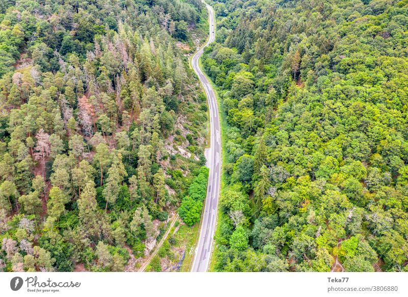 eine Waldstraße von weit oben Straße Baum Bäume Transport leer Beton Mischwald Nadelbaum von oben Wald von oben Straße von oben