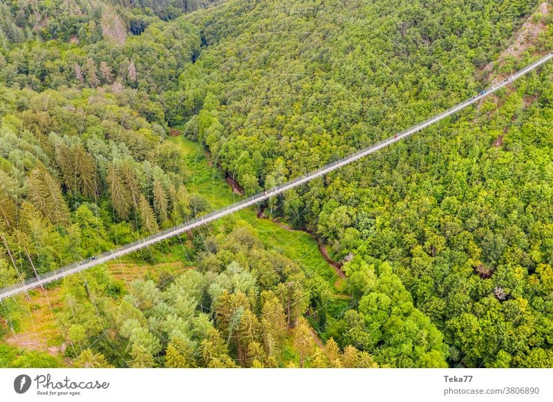 die geierlay-hängebrücke in deutschland von oben geierlay deutschland Geierlay-Hängebrücke Deutsche Hängebrücke Brücke Wanderer Wanderung Hunsrück