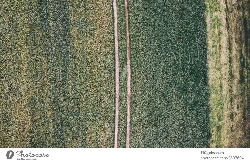 Von oben 1 Luftbild Drohnen Drohnenaufnahme Drohnenansicht Feld Feldrand Feldarbeit Felder Spuren spurenlesen spurensuche Wege & Pfade Getreide Getreidefeld