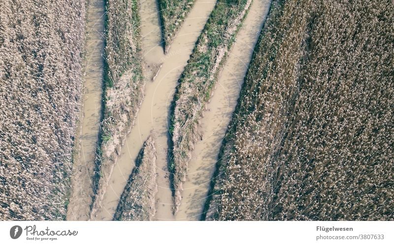 Von oben 3 Luftbild Drohnen Drohnenaufnahme Drohnenansicht Feld Feldrand Feldarbeit Felder Spuren spurenlesen spurensuche Wege & Pfade Getreide Getreidefeld