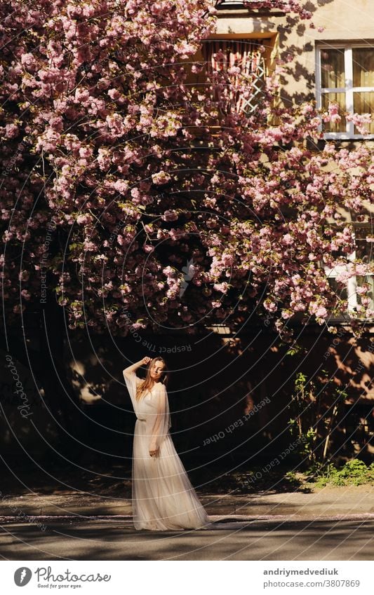 Mädchen zwischen den Kirschblüten. Mädchen geht im Frühling zwischen den blühenden Bäumen durch die Stadt Menschen stylisch Baum rosa Schönheit im Freien