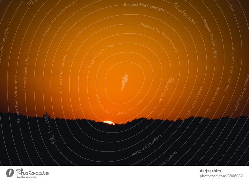 Abendstimmung. die Sonne geht unter. Nur noch ein kleiner Teil ist zu sehen. Davor Wald und ein wunderschöner Himmel. Sonnenuntergang Farbe Natur Landschaft
