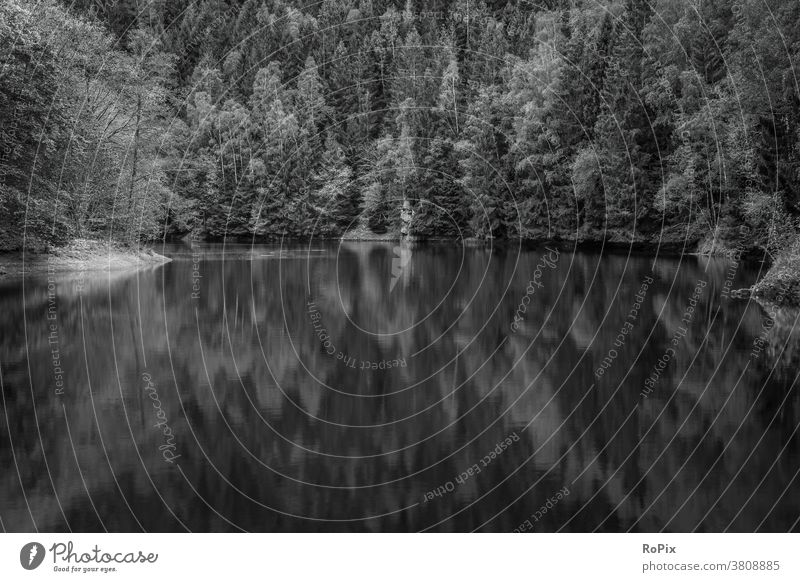 Spiegelung im Okerstausee bei Goslar. Herbst See Wald Waldrand autumn Busch Gebüsch wood Natur biotop Naturschutz Umwelt Umweltschutz fall season Jahreszeit