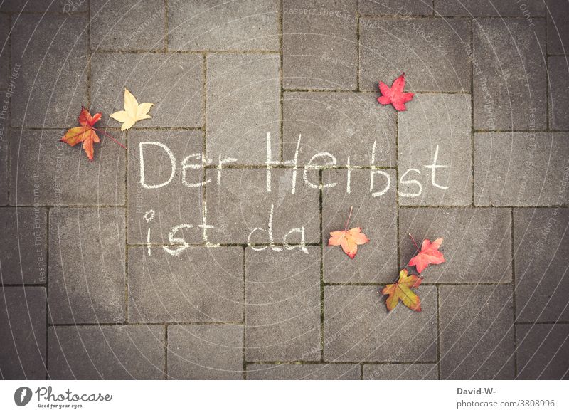 Der Herbst ist da Herbstbeginn Laub Herbstlaub Ankündigung Satz Herbstfärbung herbstlich Blätter Jahreszeit