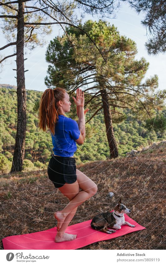 Serene Frau steht in Eagle Pose auf Yoga-Matte Adler-Pose garudasana Gleichgewicht üben Asana Hund Natur Wald Unterlage gehorsam Konzentration Windstille