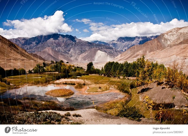 Rastplatz Umwelt Natur Landschaft Pflanze Himmel Wolken Herbst Klima Schönes Wetter Baum Wildpflanze Felsen Berge u. Gebirge Gipfel Nepal Asien Annapurna