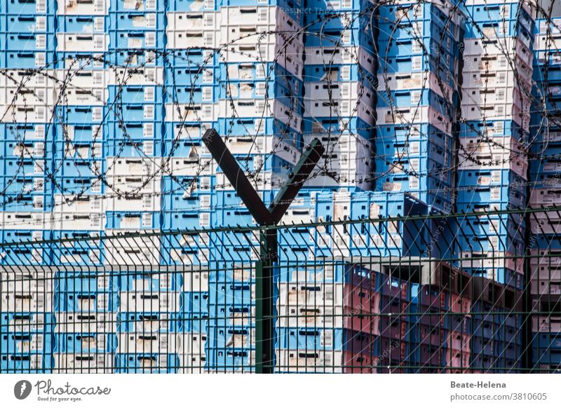 Leer gut! - Leere Plastikkästen für Getränkeflaschen leer Leergut Menschenleer Pfandflasche blau-weiß-kariert Nachschub Flüssigkeit Flüssigkeitsmangel gesund