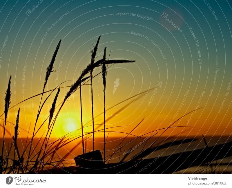 Sonnenuntergang über dem Meer schön ruhig Ferien & Urlaub & Reisen Abenteuer Sommer Strand Natur Landschaft Wasser Himmel Horizont Gras Küste Insel hell blau