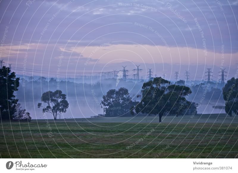 Elektrische Masten Beruf Industrie Energiewirtschaft Technik & Technologie Natur Himmel Wolken Sonnenaufgang Sonnenuntergang Nebel Baum Gras Park Teich See