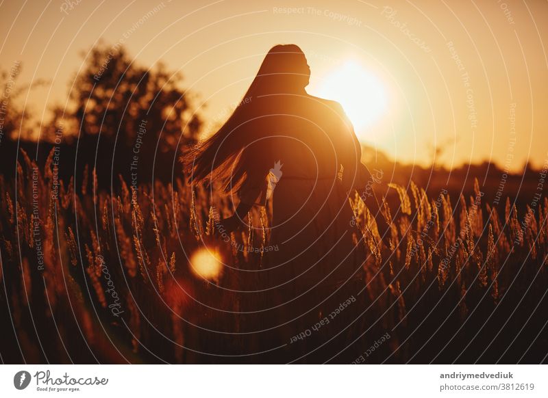 Junge Frau Mädchen im Feld bei Sonnenuntergang im Frühling, Sommerlandschaft im Hintergrund Frühling Sommerzeit. Schöne lächelnde Frau auf einem Feld bei Sonnenuntergang. selektiver Fokus