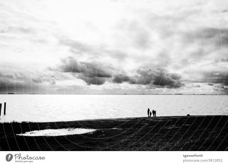 Am Dollart Meer Wolken Wolkendecke Himmel Außenaufnahme Küste Freiheit Ferien & Urlaub & Reisen wunderbar Natur Wasser majestätisch Wetter Ausflug schön