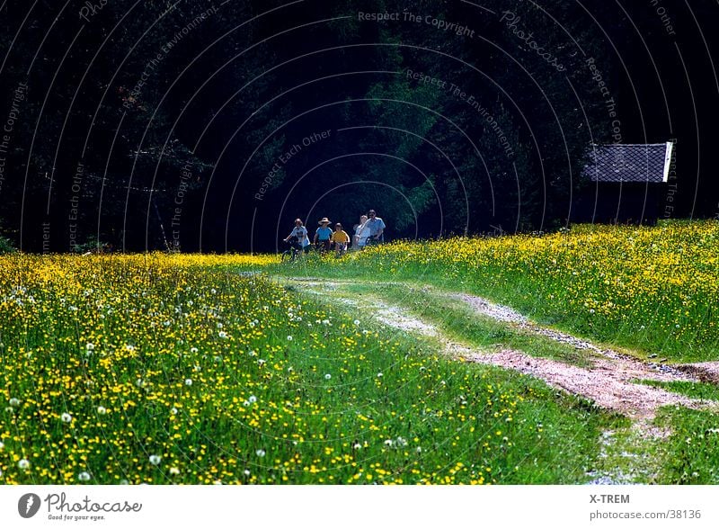 frühlingsstimmung Frühling Blumenwiese Berge u. Gebirge sommerfrische Erholung Natur leute auf wiese almweide