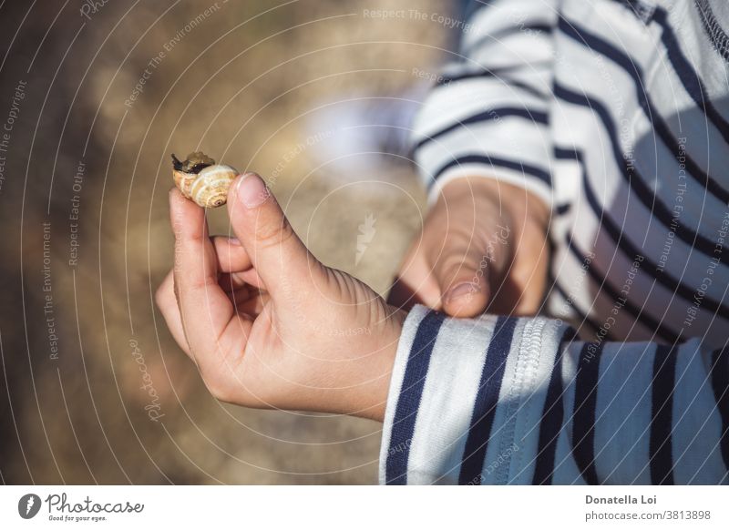 Schnecke in den Kinderhänden Tier Herbst Bokeh niedlich Differential-Fokus fallen Hand Hände Beteiligung horizontal wenig kleiner Junge Natur im Freien Person