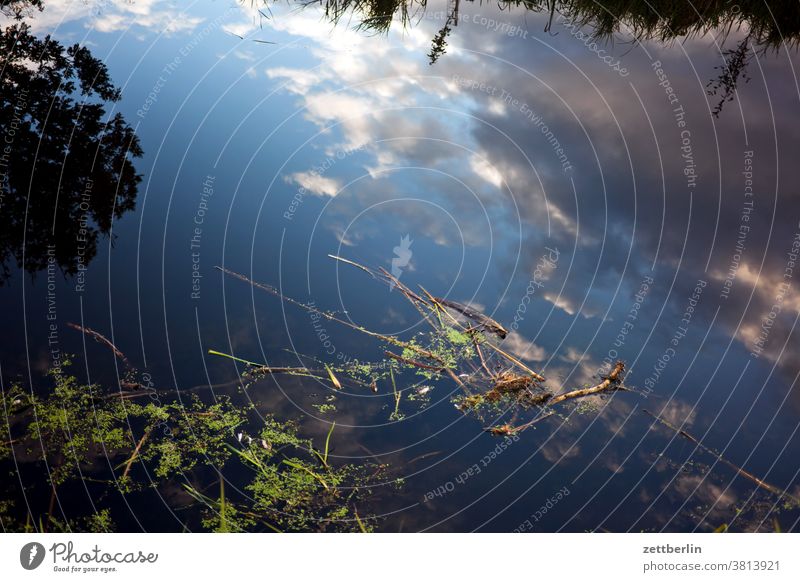 Spiegelnde Wasseroberfläche see teich fluß kanal wasser wasserbecken spiegelbild himmel wolke natur erholung ferien ausflug schwimmen kraut verkrautung algen