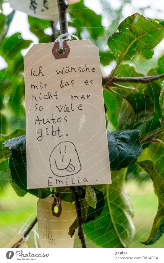 Etikett mit Wunsch hängt in einem Baum Auto Verkehr Gesellschaft Zeitgeist Politik Hoffnung Verantwortung Umwelt Umweltschutz Umweltverantwortung Natur