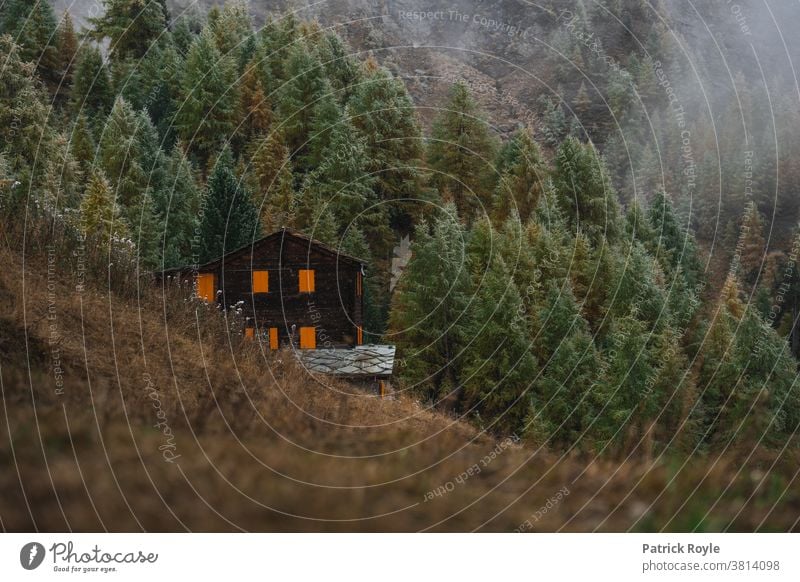 Schweizer Chalet in den Bergen mit orangefarbenen Fensterläden mit Pinienbäumen im Hintergrund Kiefern Kabine Wallis Zermatt Suisse Romande Genf Zürich Herbst