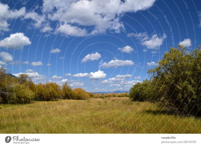 idyllische Landschaft Natur Weite Idylle schönes Wetter Sommer blauer Himmel Wolken wolkig Sonnenschein strahlend Horizont Ferne Freiraum weit Spaziergang