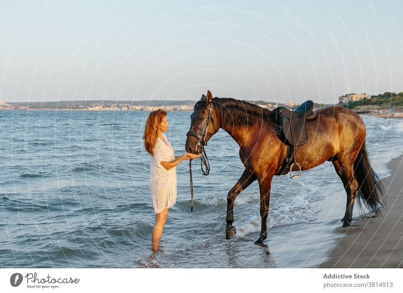 Frau im weißen Kleid streichelt ihr Pferd am Meeresufer bei Sonnenuntergang MEER Strand Streicheln Pferderücken Sommer pferdeähnlich Liebe cool Reiterin