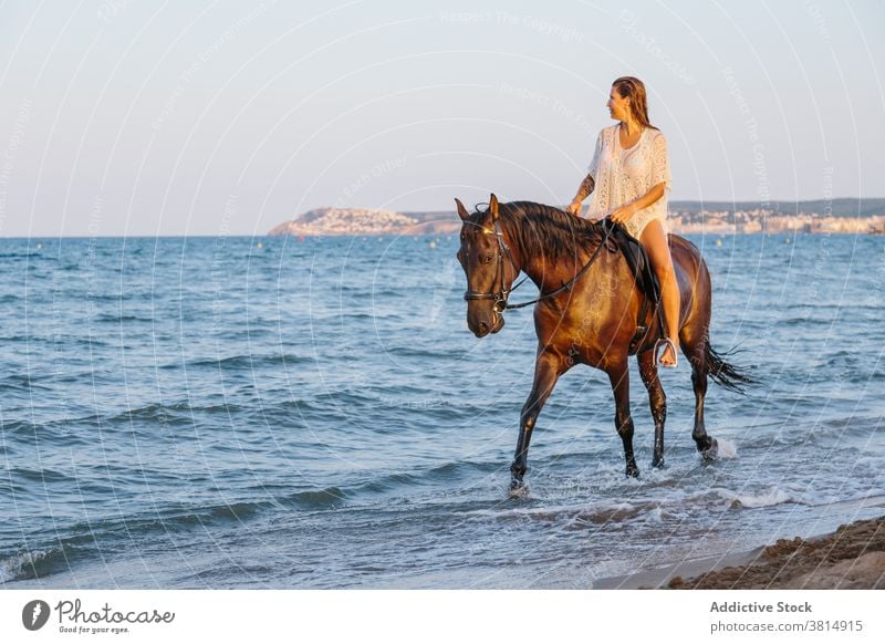 Schöne Frau im weißen Kleid reitet ein Pferd entlang der Küste bei Sonnenuntergang MEER Strand Reiten Pferderücken Sommer pferdeähnlich Liebe cool Reiterin