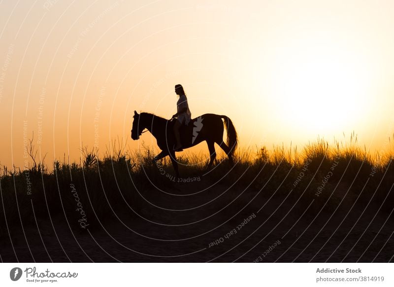 Silhouette eines Mädchens reiten ein Pferd unter einem schönen Sonnenuntergang Frau Reiten Landschaft Hintergrundbeleuchtung im Freien pferdeähnlich Amazonas