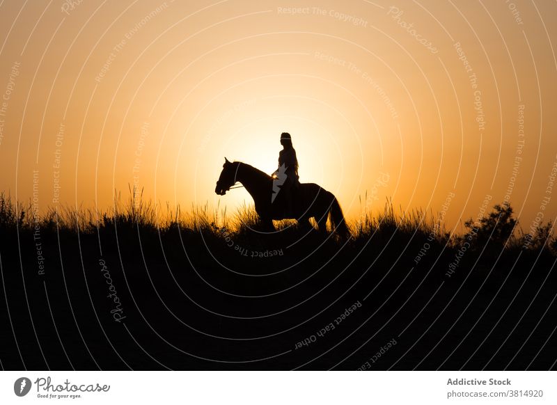 Silhouette eines Mädchens reiten ein Pferd unter einem schönen Sonnenuntergang Frau Reiten Landschaft Hintergrundbeleuchtung im Freien pferdeähnlich Amazonas