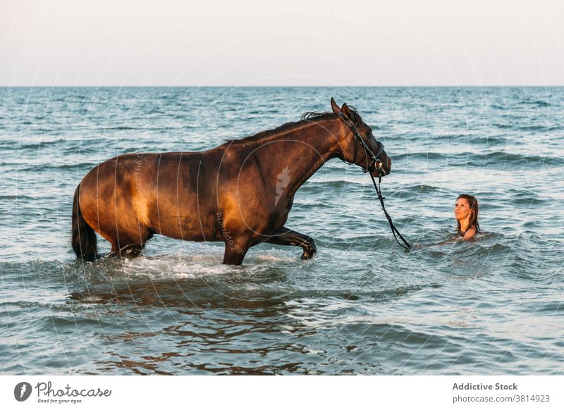 Schöne Frau Baden mit ihrem Pferd im Meer bei Sonnenuntergang MEER Strand Pferderücken Sommer pferdeähnlich Liebe cool Reiterin Haustier Erholung