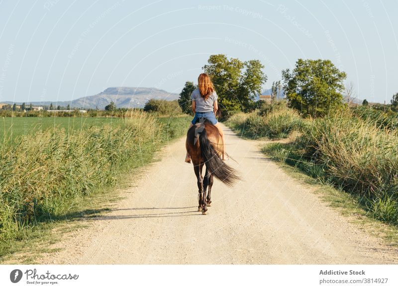 Schöne Frau Reiten entlang einer Landstraße an einem sonnigen Nachmittag Pferd Straße Mitfahrgelegenheit Reiterin Landschaft im Freien Lebensstile Säugetier