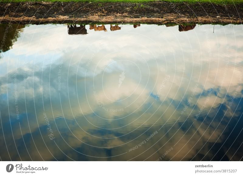 Kühe über dem Textfreiraum kuh kühe herde landwirtschaft vieh viehwirtschaft weide bauer bauernhof wasser teich see tümpel wasseroberfläche spiegelung