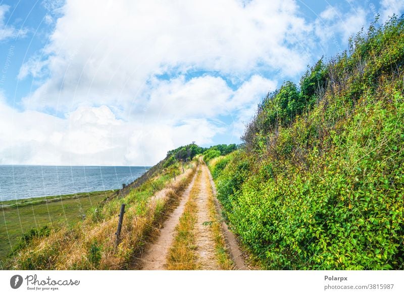 Lehrpfad auf einer Klippe am blauen Meer Buchse grün nach oben Norden Zaun Pflanze Umwelt natürlich Saison Tag wolkig wild Gras Wildnis national Weg Wanderung