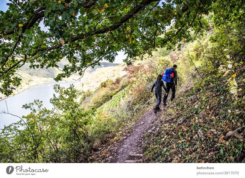 knapp daneben | gehts runter in die mosel Moselsteig Hunsrück Moseltal Weinbau Rheinland-Pfalz Fluss Idylle Ruhe Sonnenlicht Mosel (Weinbaugebiet) Flussufer