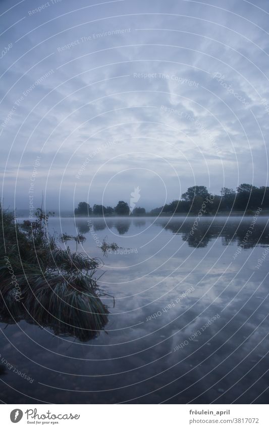 Spieglein Spieglein auf dem Land Wasser Wolken Himmel Wolkenhimmel Wolkendecke Menschenleer Farbfoto Außenaufnahme Natur blau Tag Landschaft Umwelt