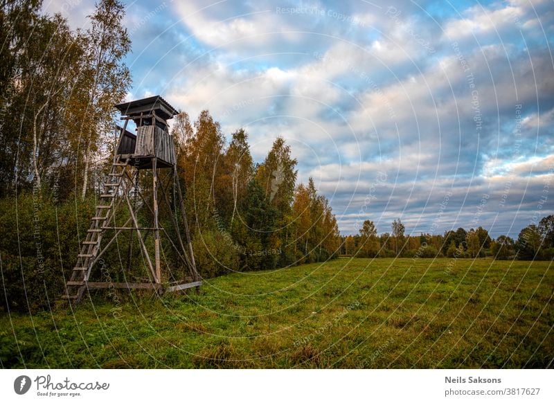 hölzerner Jagdturm auf einer Wiese in der Nähe des Herbstwaldes Himmel Natur Turm Gras Wald Baum grün blau Holz Landschaft Haus Feld Jäger alt Hütte Sommer