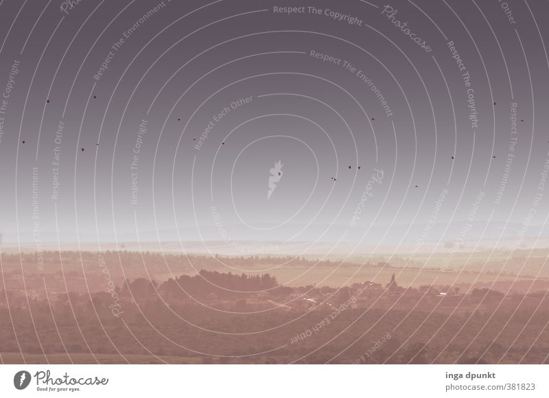 Zugvögel Umwelt Natur Landschaft Pflanze Tier Frühling Schönes Wetter Nebel Hügel Berge u. Gebirge Israel Naher und Mittlerer Osten Vogel Zugvogel Schwarm