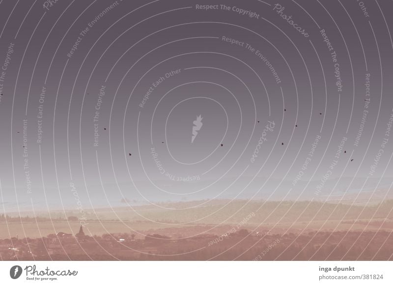 Vogelzug Umwelt Natur Landschaft Pflanze Tier Himmel Wolkenloser Himmel Frühling Klima Schönes Wetter Nebel Dunst Nebelschleier Berge u. Gebirge Israel