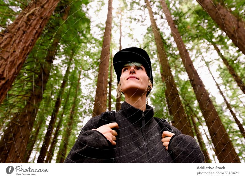 Entzückter Reisender im grünen Wald Wälder Baum Frau groß Sequoia erstaunlich Landschaft natürlich Naturdenkmal der Mammutbäume Kantabrien Spanien Tourist