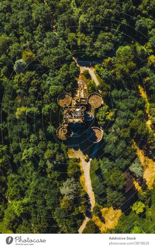 Altes Schloss inmitten von grünem Wald im Sommer Burg oder Schloss Architektur Natur historisch Erbe Fassade Grün vegetieren alt Stil Gebäude üppig (Wuchs)